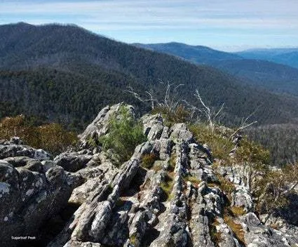 Best Walks East of Melbourne (Updated Edition): The Bestselling Guide to Over 40 Fantastic Walks