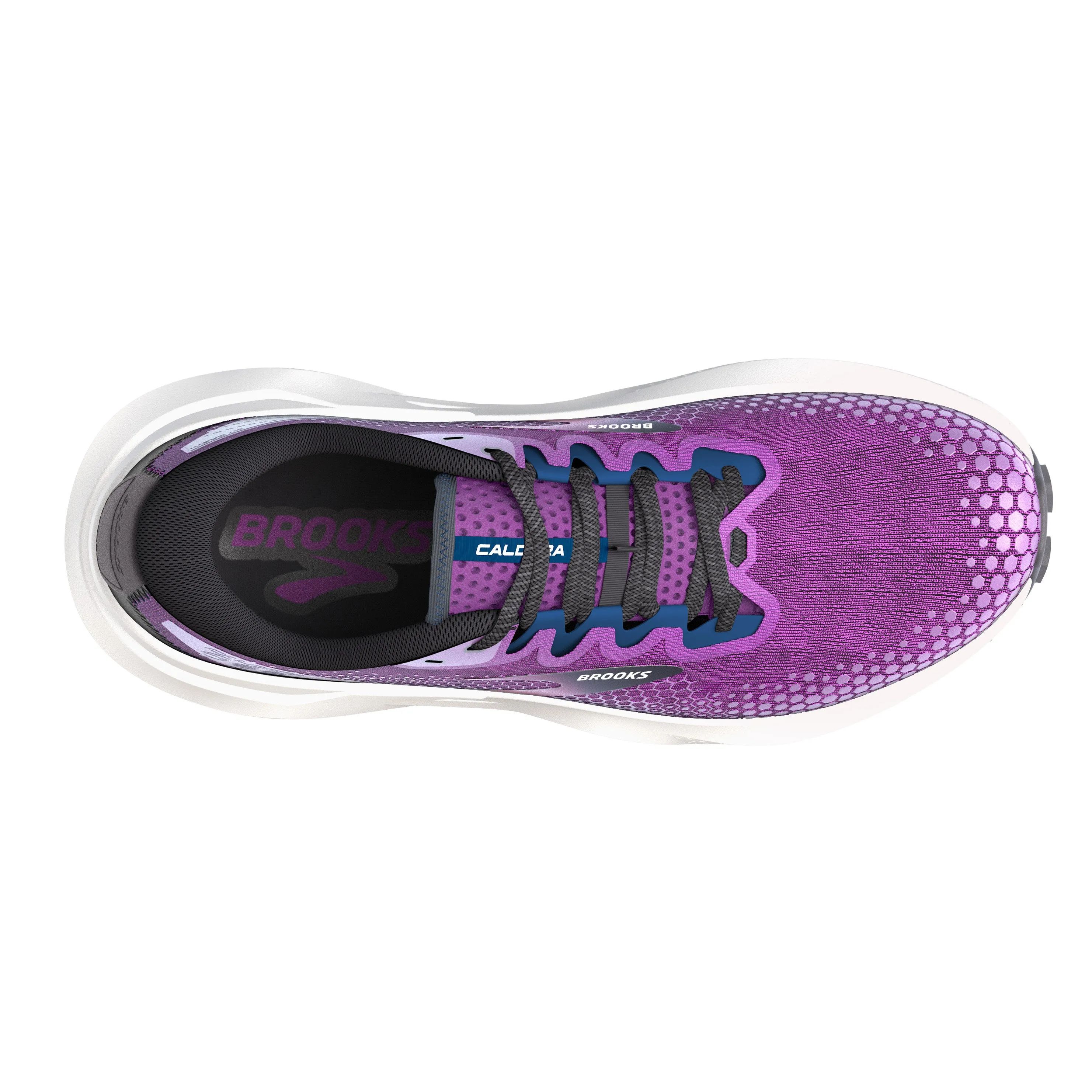 Caldera 6 \ Purple/Violet/Navy