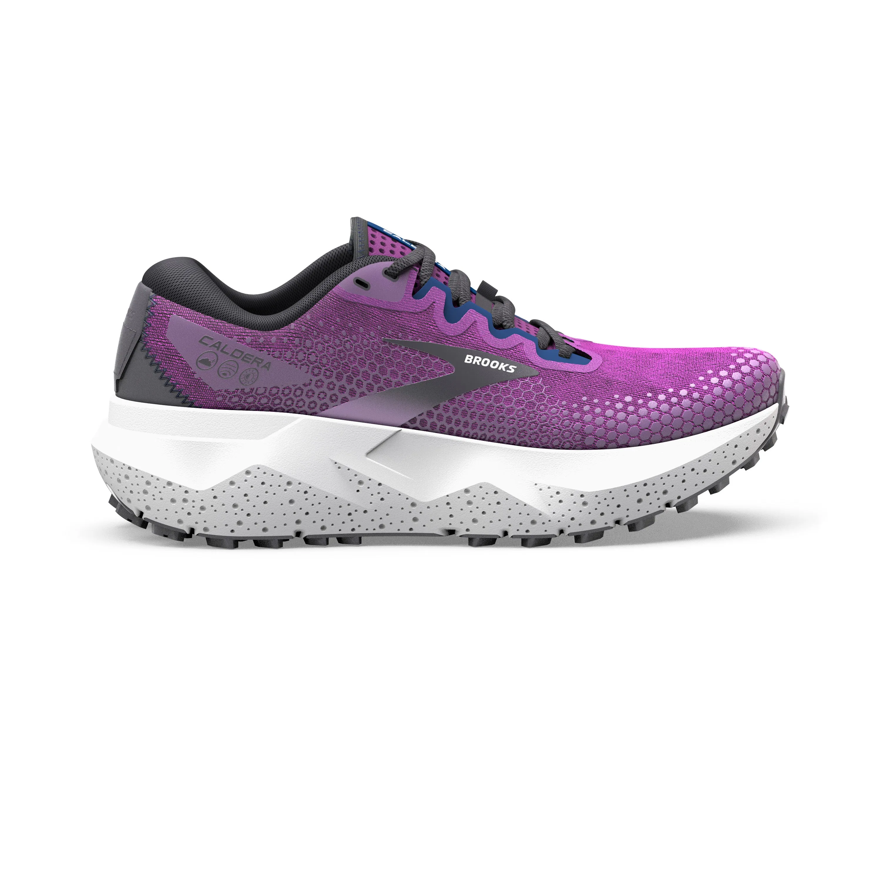 Caldera 6 \ Purple/Violet/Navy