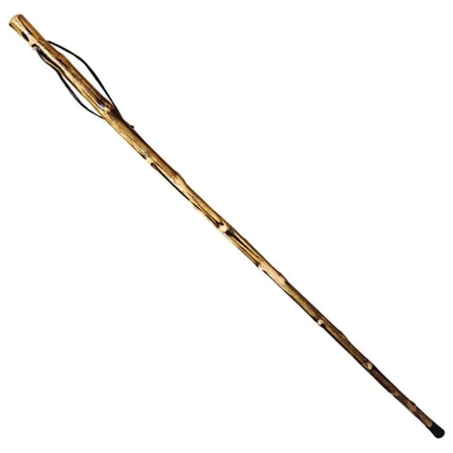 Lodge Take Hike Walking Stick IWLGDD