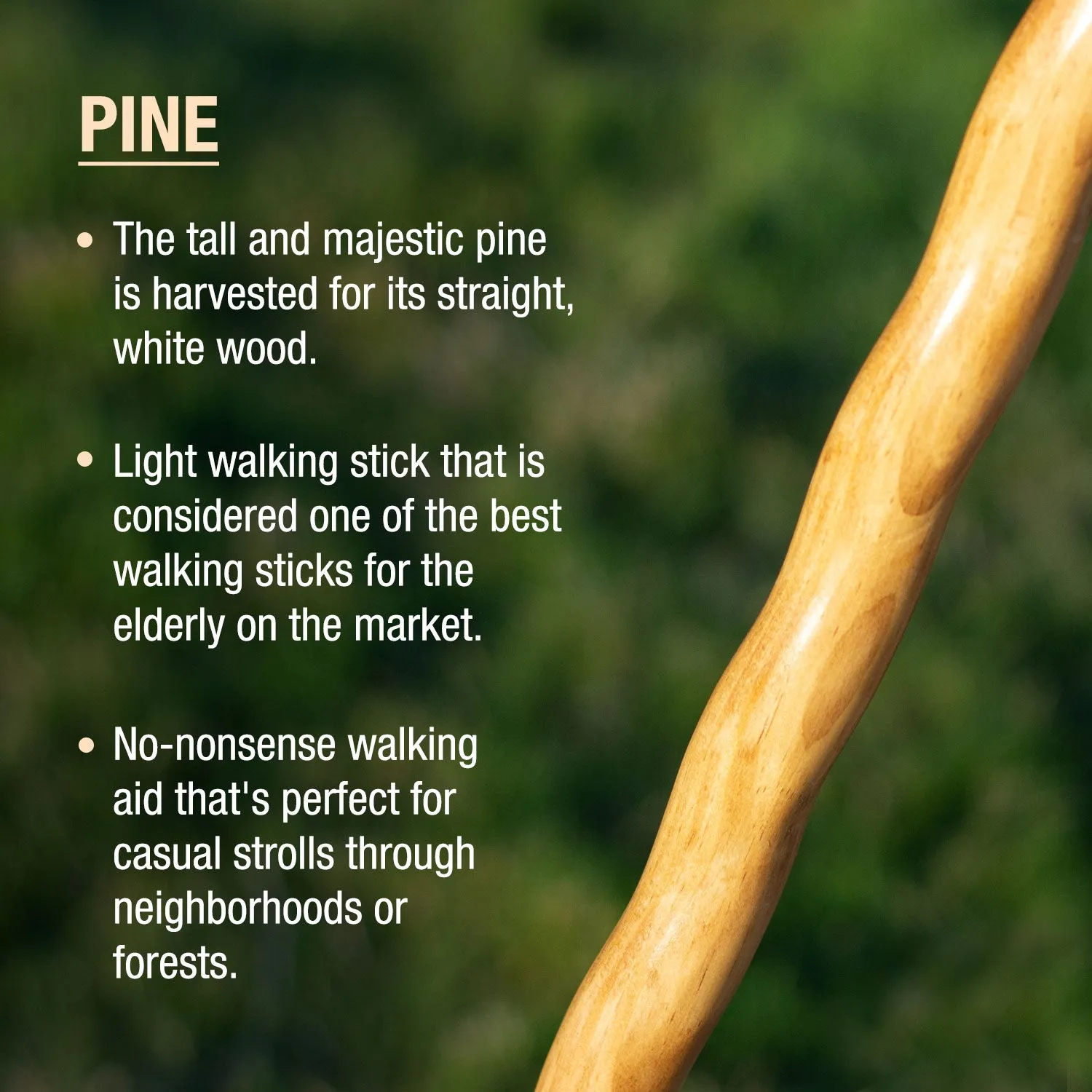 Twisted Pine Handcrafted Walking Stick 55"